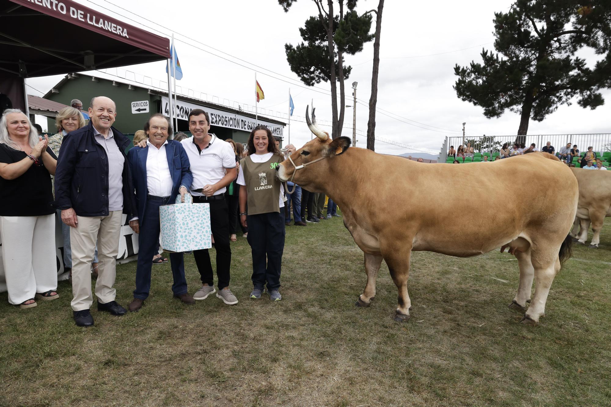 Inverpor Y Oquendo Brillan En Llanera Grupo Dc